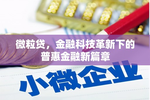 永寿微粒贷，金融科技革新下的普惠金融新篇章