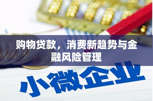 永寿购物贷款，消费新趋势与金融风险管理