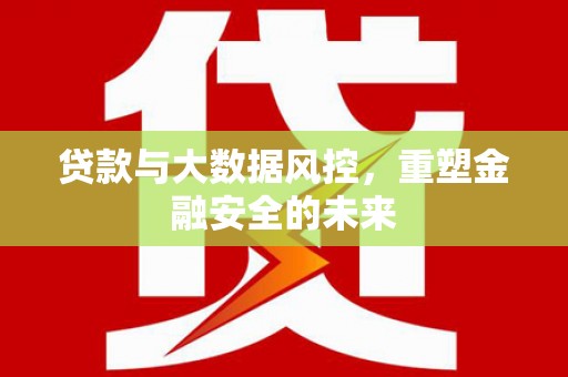 永寿贷款与大数据风控，重塑金融安全的未来