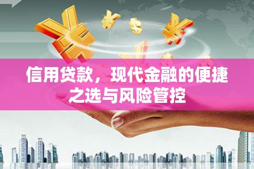 永寿信用贷款，现代金融的便捷之选与风险管控