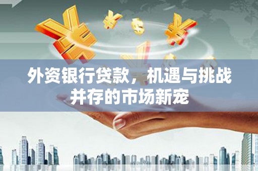 永寿外资银行贷款，机遇与挑战并存的市场新宠