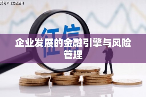 永寿企业发展的金融引擎与风险管理