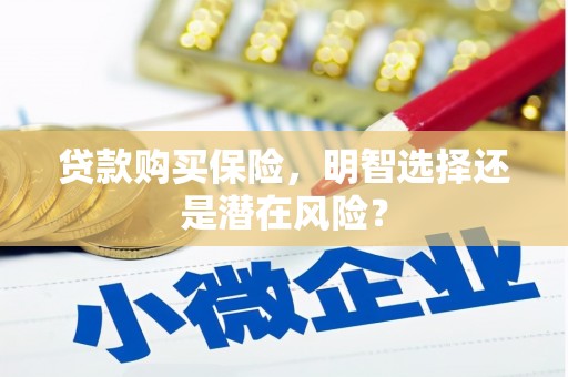 永寿贷款购买保险，明智选择还是潜在风险？