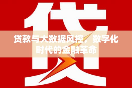 永寿贷款与大数据风控，数字化时代的金融革命