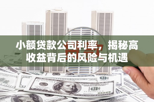 永寿小额贷款公司利率，揭秘高收益背后的风险与机遇