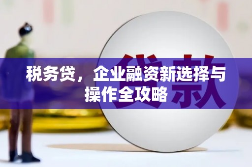 永寿税务贷，企业融资新选择与操作全攻略