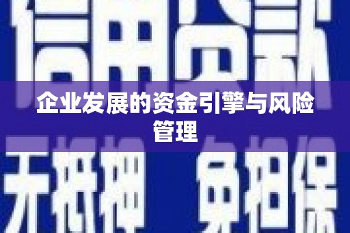 永寿企业发展的资金引擎与风险管理