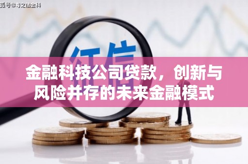 永寿金融科技公司贷款，创新与风险并存的未来金融模式