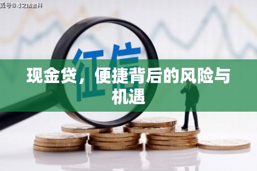 永寿现金贷，便捷背后的风险与机遇