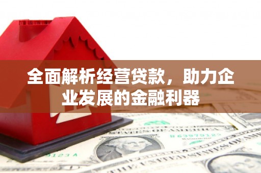 永寿全面解析经营贷款，助力企业发展的金融利器