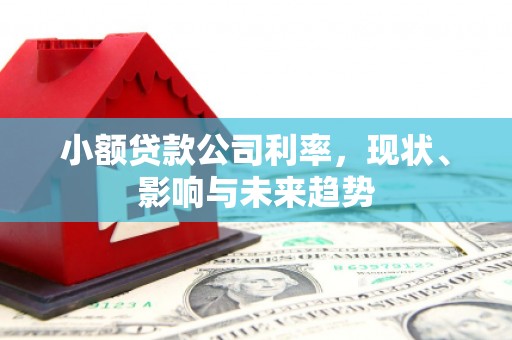 永寿小额贷款公司利率，现状、影响与未来趋势