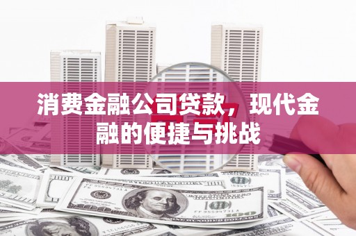 永寿消费金融公司贷款，现代金融的便捷与挑战