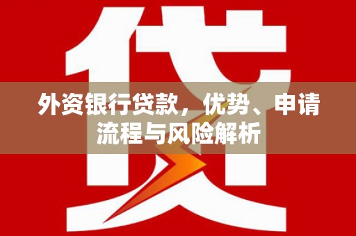 永寿外资银行贷款，优势、申请流程与风险解析