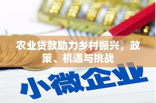 永寿农业贷款助力乡村振兴，政策、机遇与挑战