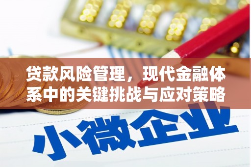 永寿贷款风险管理，现代金融体系中的关键挑战与应对策略
