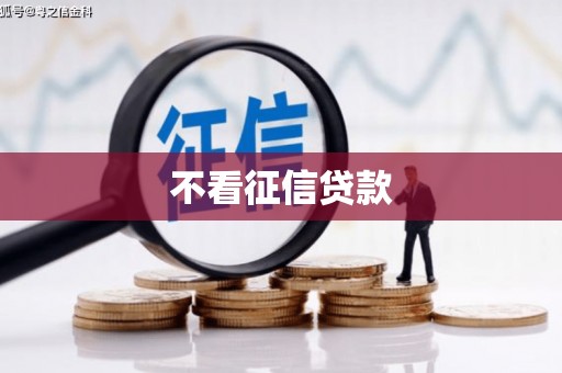 永寿不看征信贷款
