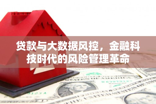 永寿贷款与大数据风控，金融科技时代的风险管理革命