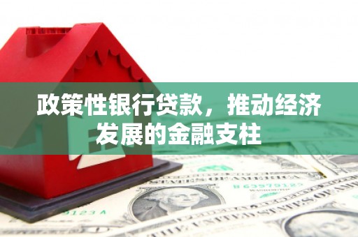 永寿政策性银行贷款，推动经济发展的金融支柱