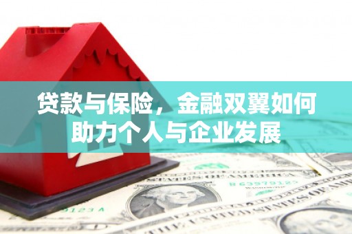 永寿贷款与保险，金融双翼如何助力个人与企业发展