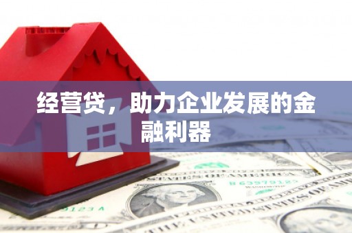 永寿经营贷，助力企业发展的金融利器
