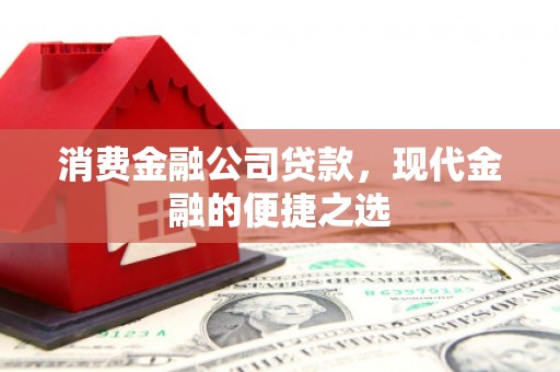 永寿消费金融公司贷款，现代金融的便捷之选