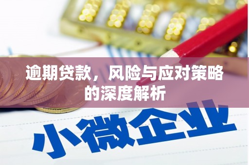 永寿逾期贷款，风险与应对策略的深度解析