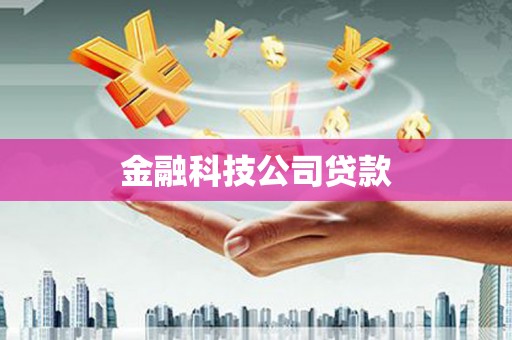 永寿金融科技公司贷款