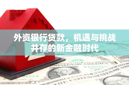 永寿外资银行贷款，机遇与挑战并存的新金融时代