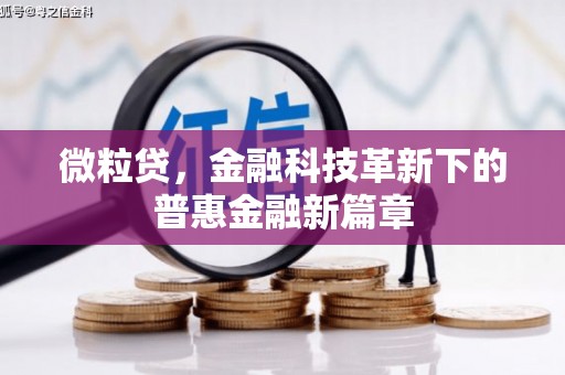 永寿微粒贷，金融科技革新下的普惠金融新篇章