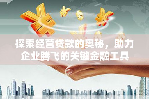 永寿探索经营贷款的奥秘，助力企业腾飞的关键金融工具