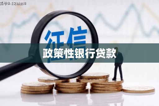 永寿政策性银行贷款