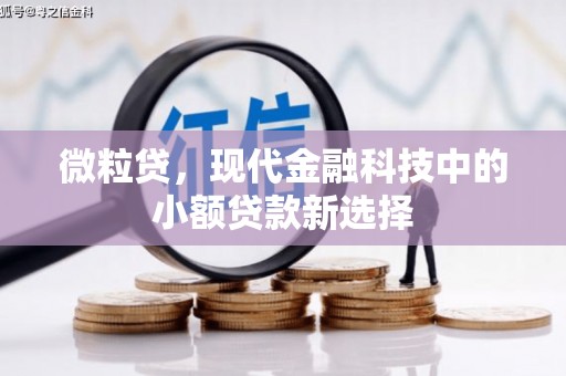永寿微粒贷，现代金融科技中的小额贷款新选择