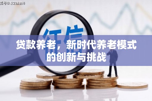 永寿贷款养老，新时代养老模式的创新与挑战