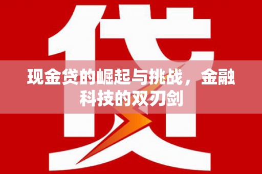 永寿现金贷的崛起与挑战，金融科技的双刃剑