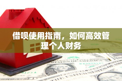 永寿借呗使用指南，如何高效管理个人财务