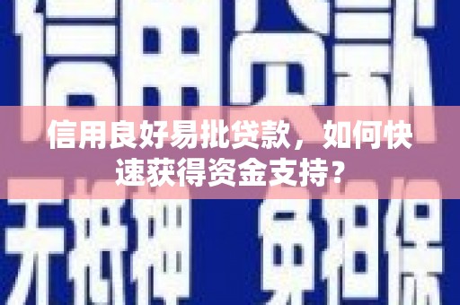 永寿信用良好易批贷款，如何快速获得资金支持？