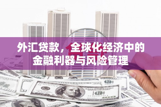永寿外汇贷款，全球化经济中的金融利器与风险管理
