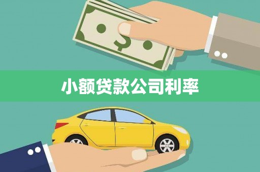 永寿小额贷款公司利率