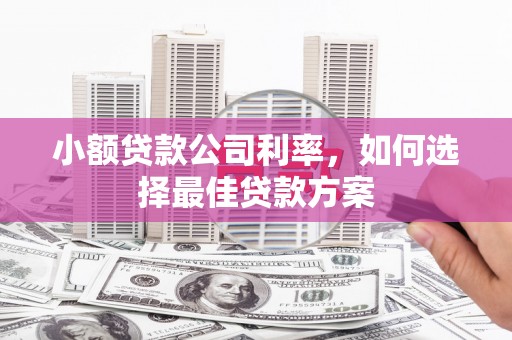 永寿小额贷款公司利率，如何选择最佳贷款方案