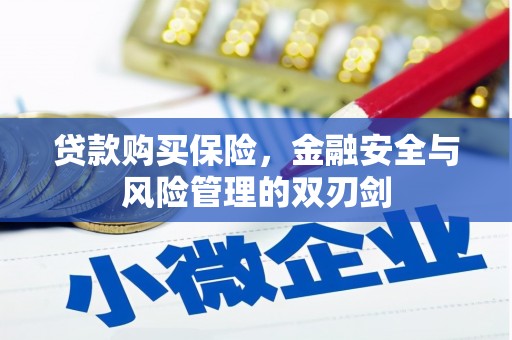 永寿贷款购买保险，金融安全与风险管理的双刃剑