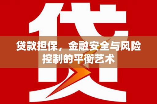 永寿贷款担保，金融安全与风险控制的平衡艺术