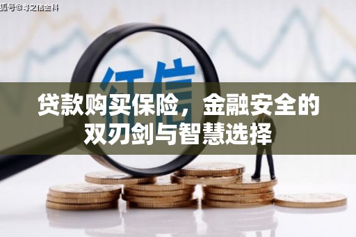 永寿贷款购买保险，金融安全的双刃剑与智慧选择