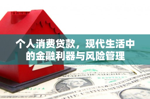 永寿个人消费贷款，现代生活中的金融利器与风险管理