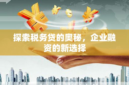 永寿探索税务贷的奥秘，企业融资的新选择