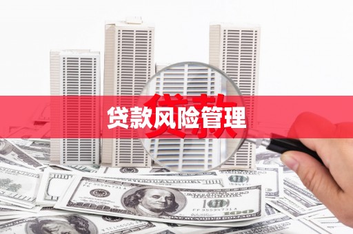 永寿贷款风险管理