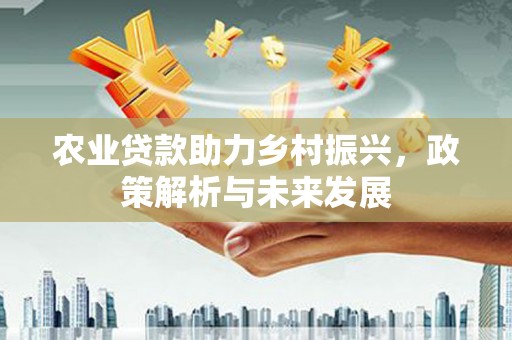 永寿农业贷款助力乡村振兴，政策解析与未来发展