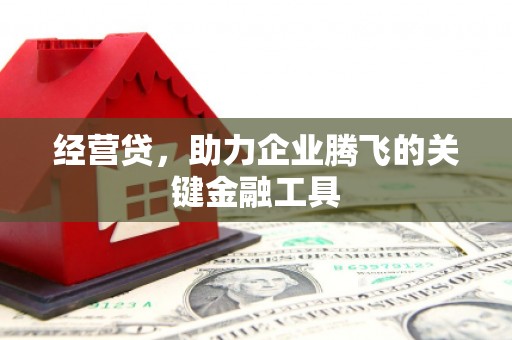 永寿经营贷，助力企业腾飞的关键金融工具