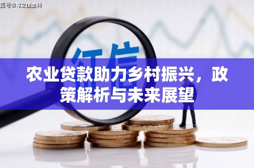 永寿农业贷款助力乡村振兴，政策解析与未来展望