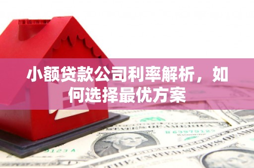 永寿小额贷款公司利率解析，如何选择最优方案
