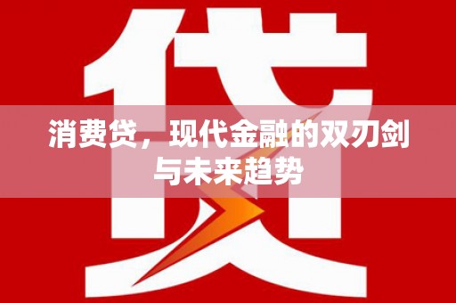 永寿消费贷，现代金融的双刃剑与未来趋势